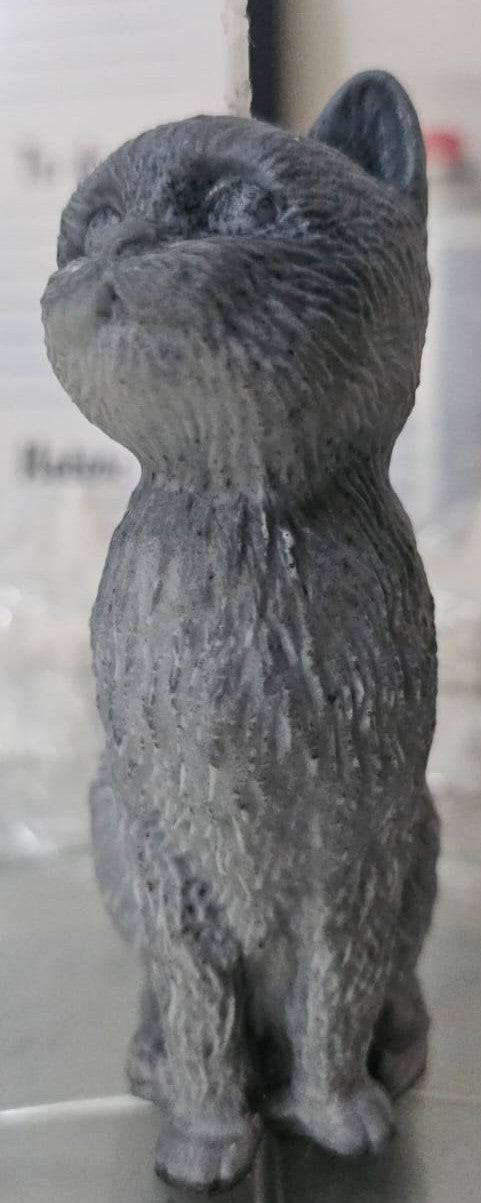 Vela Decorativa Gato de Medianoche!